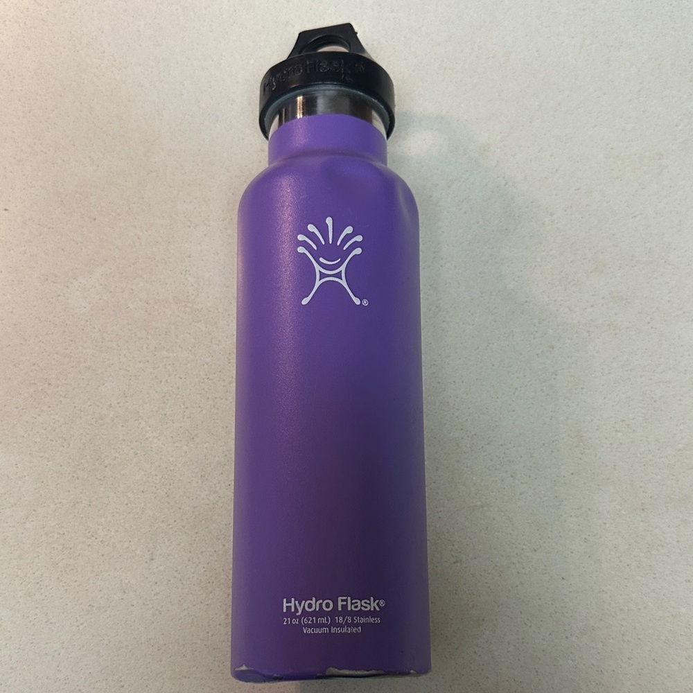 Hydro Flask Violet Insulated Bottle